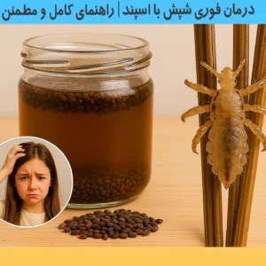 درمان فوری شپش با اسپند